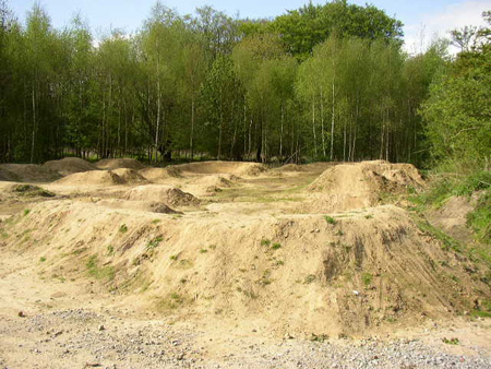 halter am see 1,5,2008 041