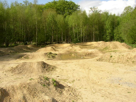 halter am see 1,5,2008 042