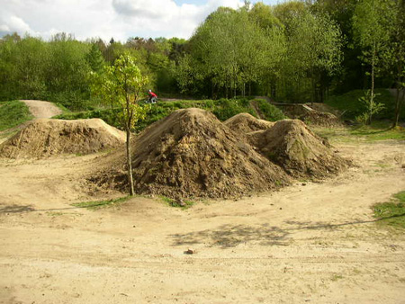 halter am see 1,5,2008 044