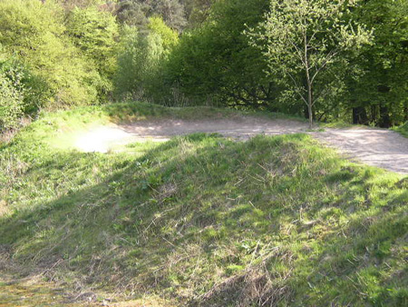 halter am see 1,5,2008 067